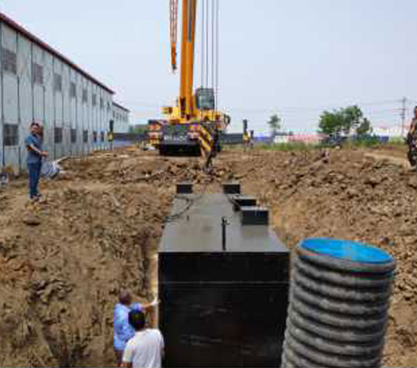 1728523535555296.jpg e54b6e9745de5eb06c196fcb67180b35_1-210F9111951139.jpg